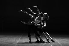 ballet-1376250_1920.jpg